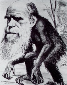 darwinmonkey